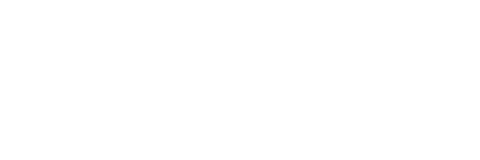 Stoetbul
